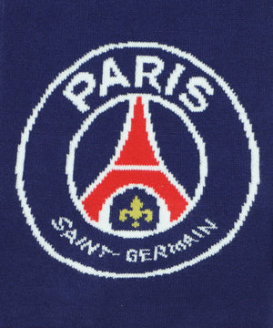 チームロゴマフラー