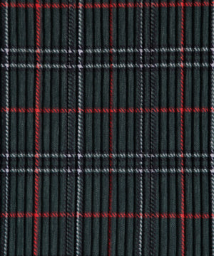 セルフカットチェックプリーツパンツ