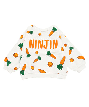 オレンジ(にんじん)