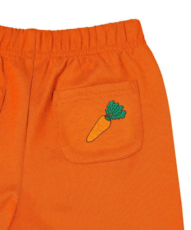 オレンジ(ニンジン)