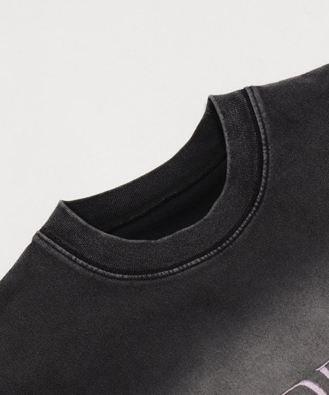 WILD BLUE　グラフィックブリーチTシャツ