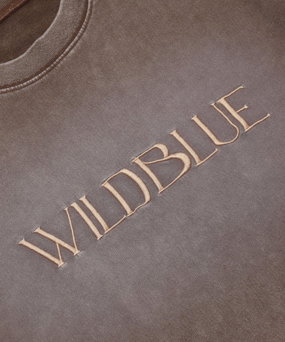 WILD BLUE　グラフィックブリーチTシャツ