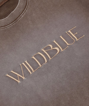 WILD BLUE　グラフィックブリーチTシャツ