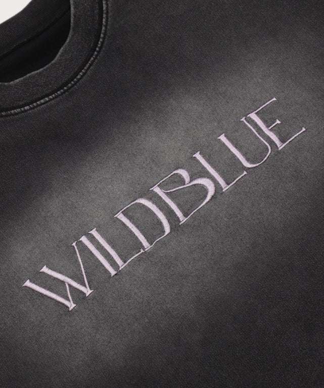 WILD BLUE　グラフィックブリーチTシャツ