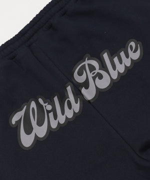 WILD BLUE　グラフィックスウェットパンツ