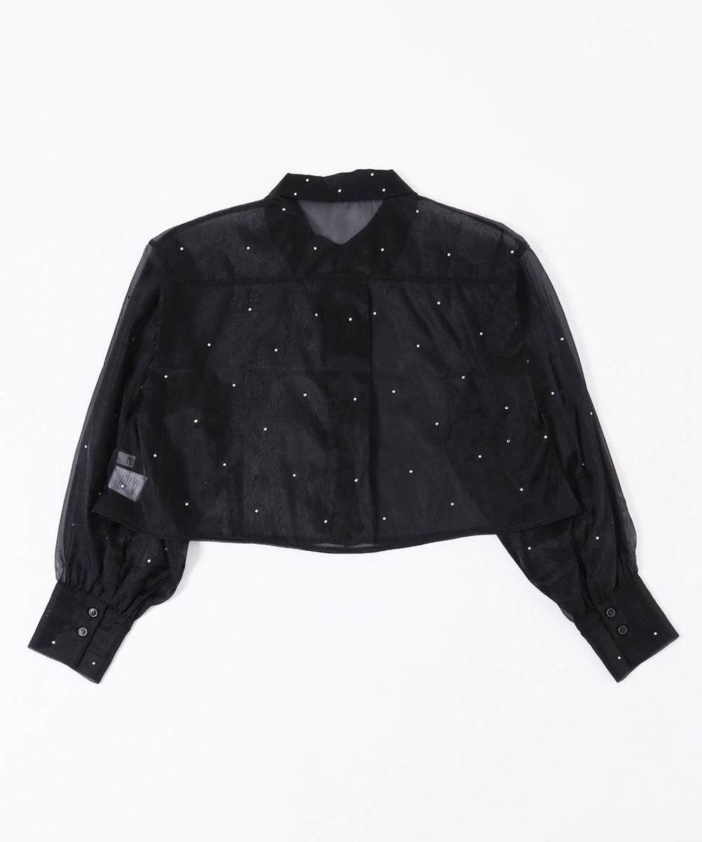 ビジューポイントシアーシャツ