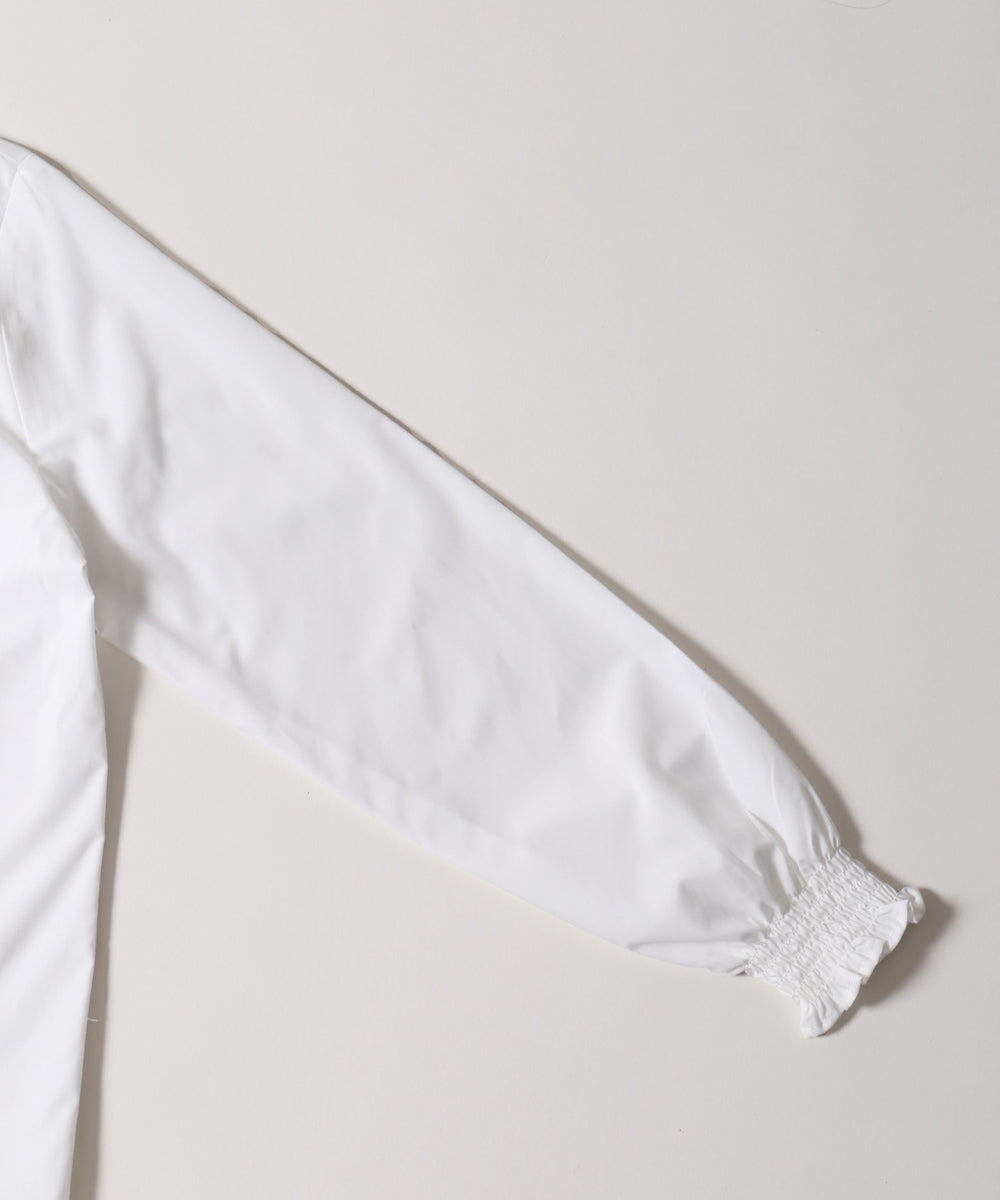 ビッグリボンブラウス