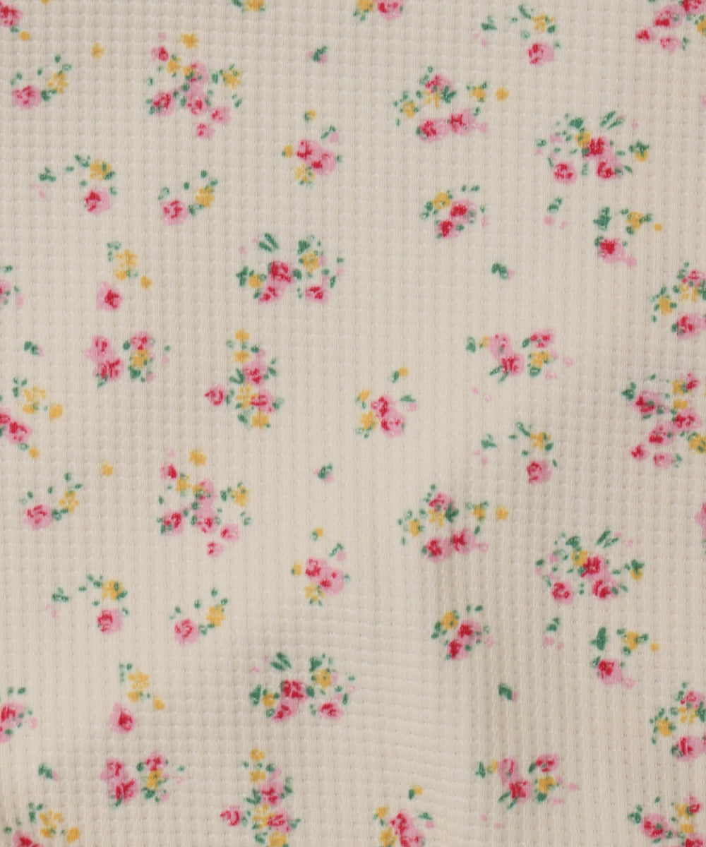 ホワイトアイボリー