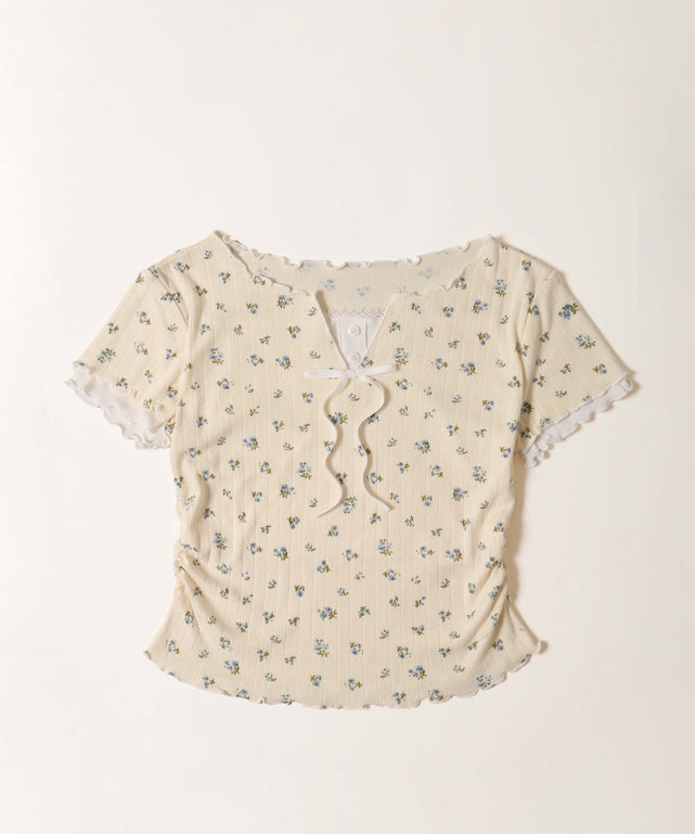 ホワイトアイボリー