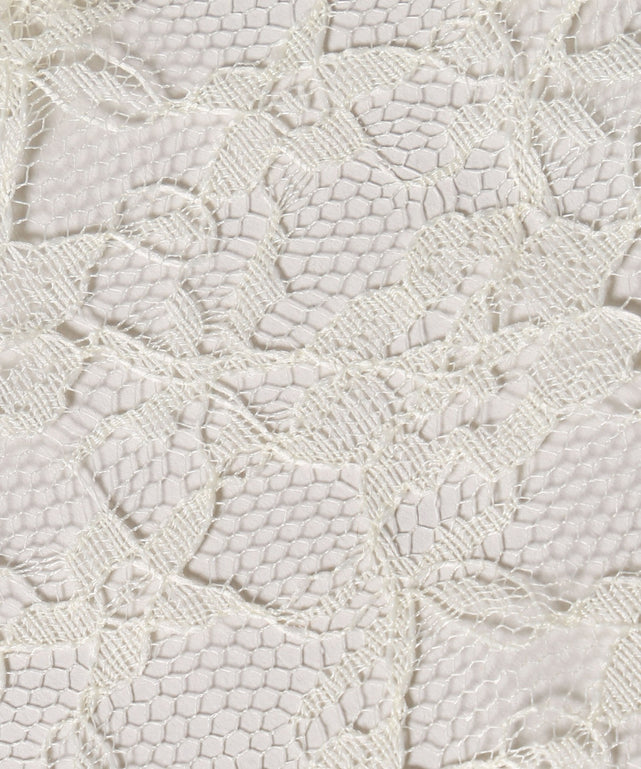 ホワイトアイボリー