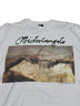 MICHELANGELO アートTシャツ