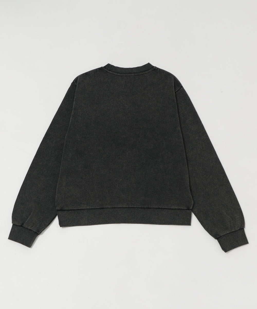 コンパクトフィットロゴプルオーバー