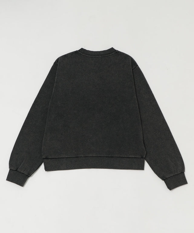 コンパクトフィットロゴプルオーバー