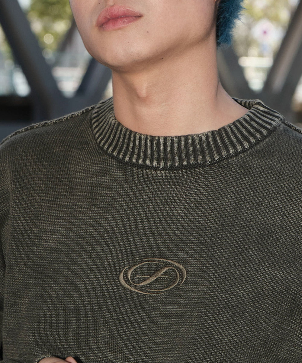 ピグメントロゴニットプルオーバー