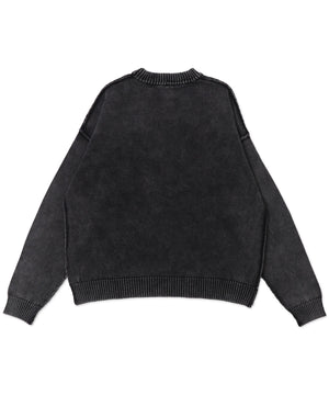 ピグメントロゴニットプルオーバー