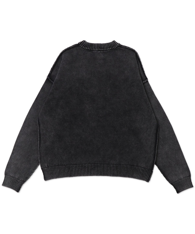 ピグメントロゴニットプルオーバー