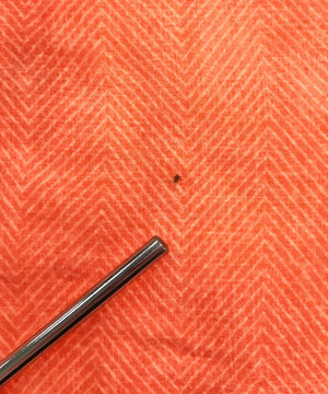 CAMPIA MODA 半袖柄シャツ