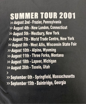 MOUNTAINバンドTシャツ