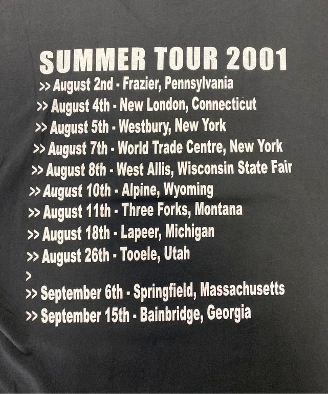 MOUNTAINバンドTシャツ