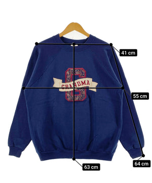 Hanesラグランスウェット