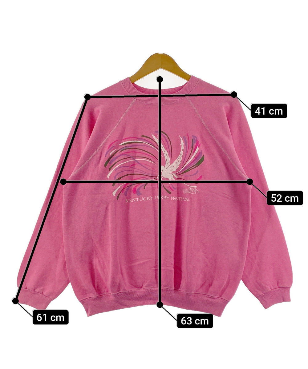 Hanesラグランスウェット