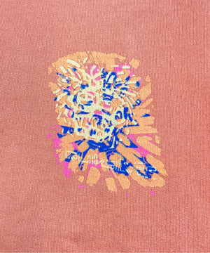 Quicksilverストリートブランドスウェット