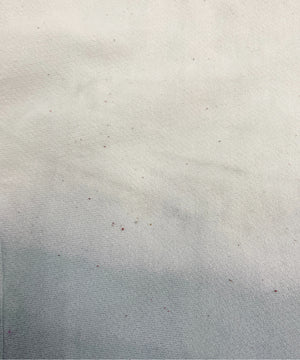 championリバース