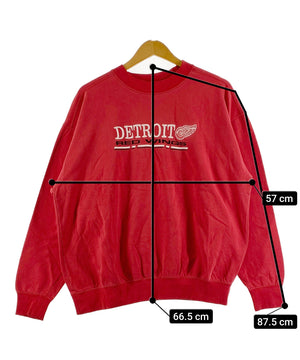 DETROIT RED WINGSチームロゴスウェット