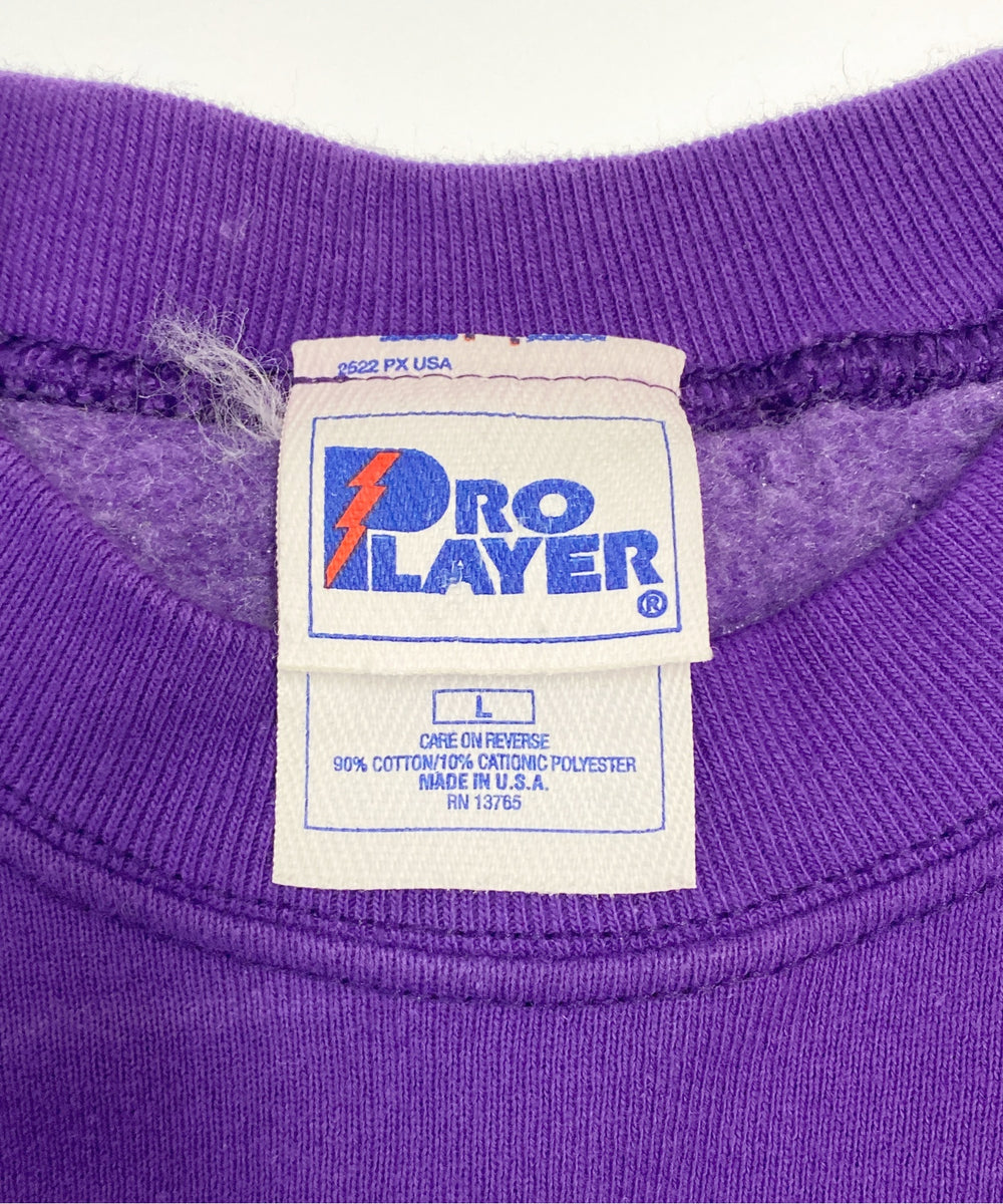 MIENNESOTA VIKINGSチームロゴスウェット