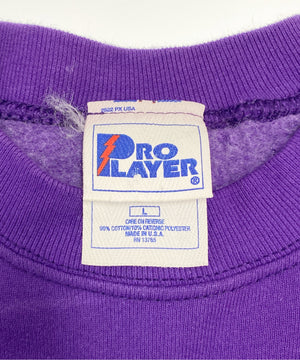 MIENNESOTA VIKINGSチームロゴスウェット