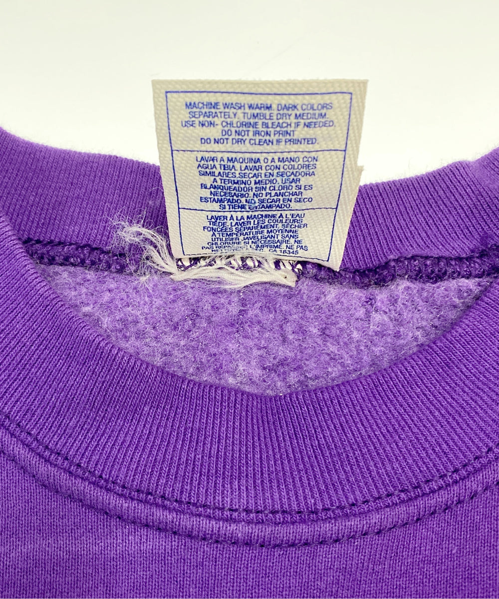 MIENNESOTA VIKINGSチームロゴスウェット