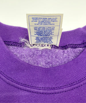 MIENNESOTA VIKINGSチームロゴスウェット