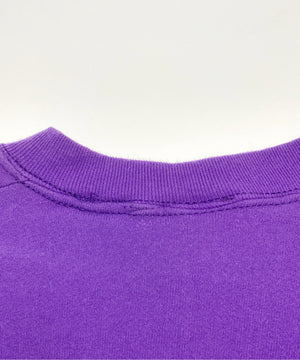 MIENNESOTA VIKINGSチームロゴスウェット