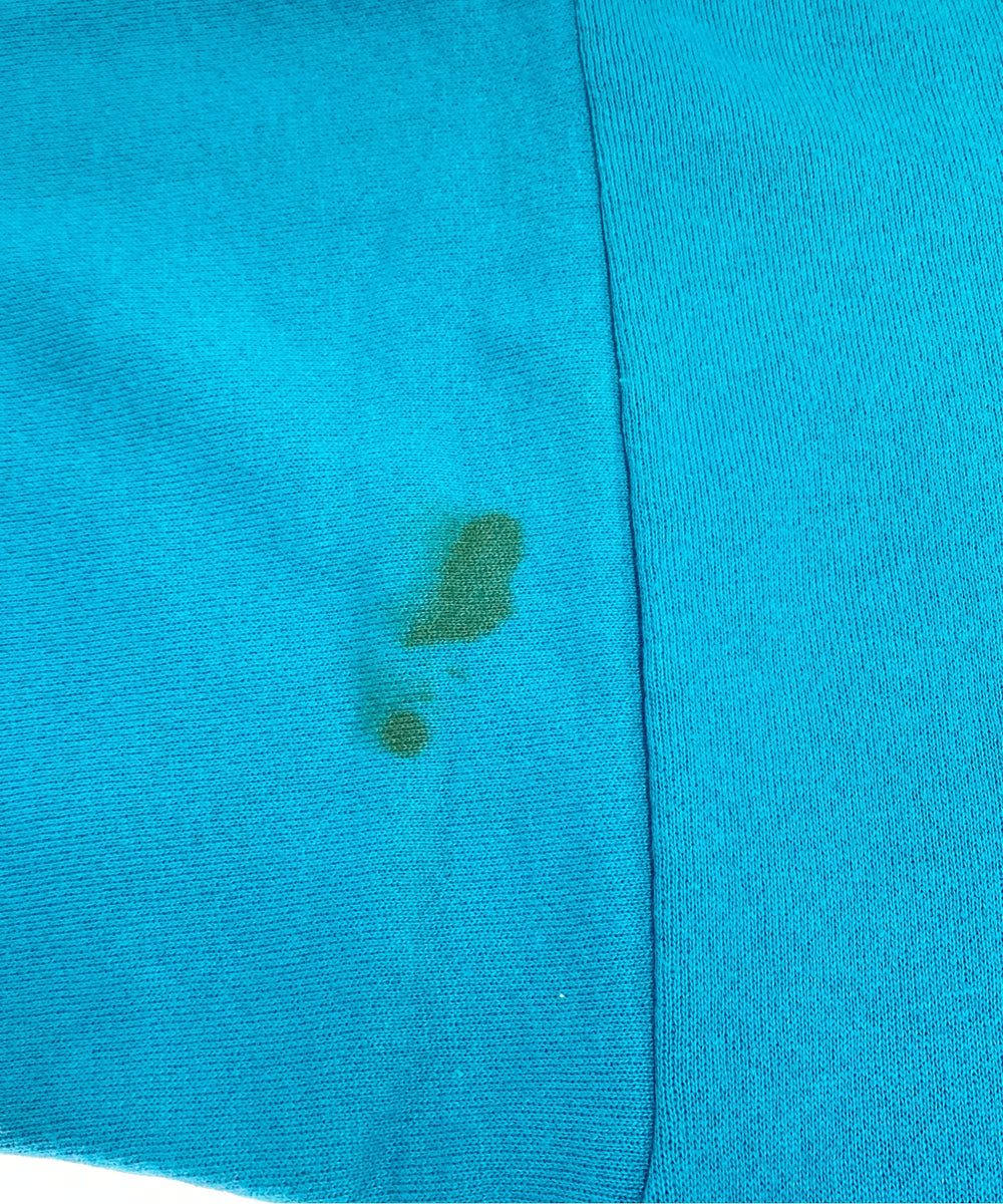 HORNETS Charlotteチームロゴスウェット