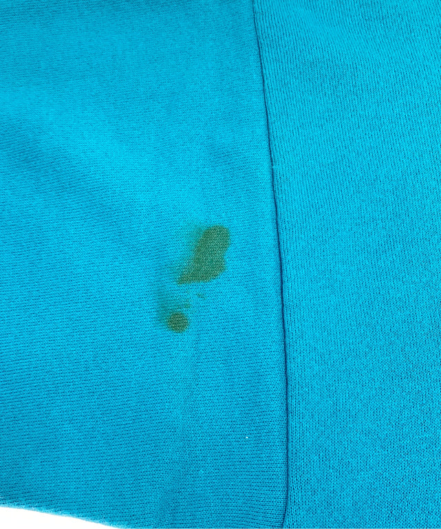 HORNETS Charlotteチームロゴスウェット