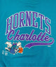 HORNETS Charlotteチームロゴスウェット