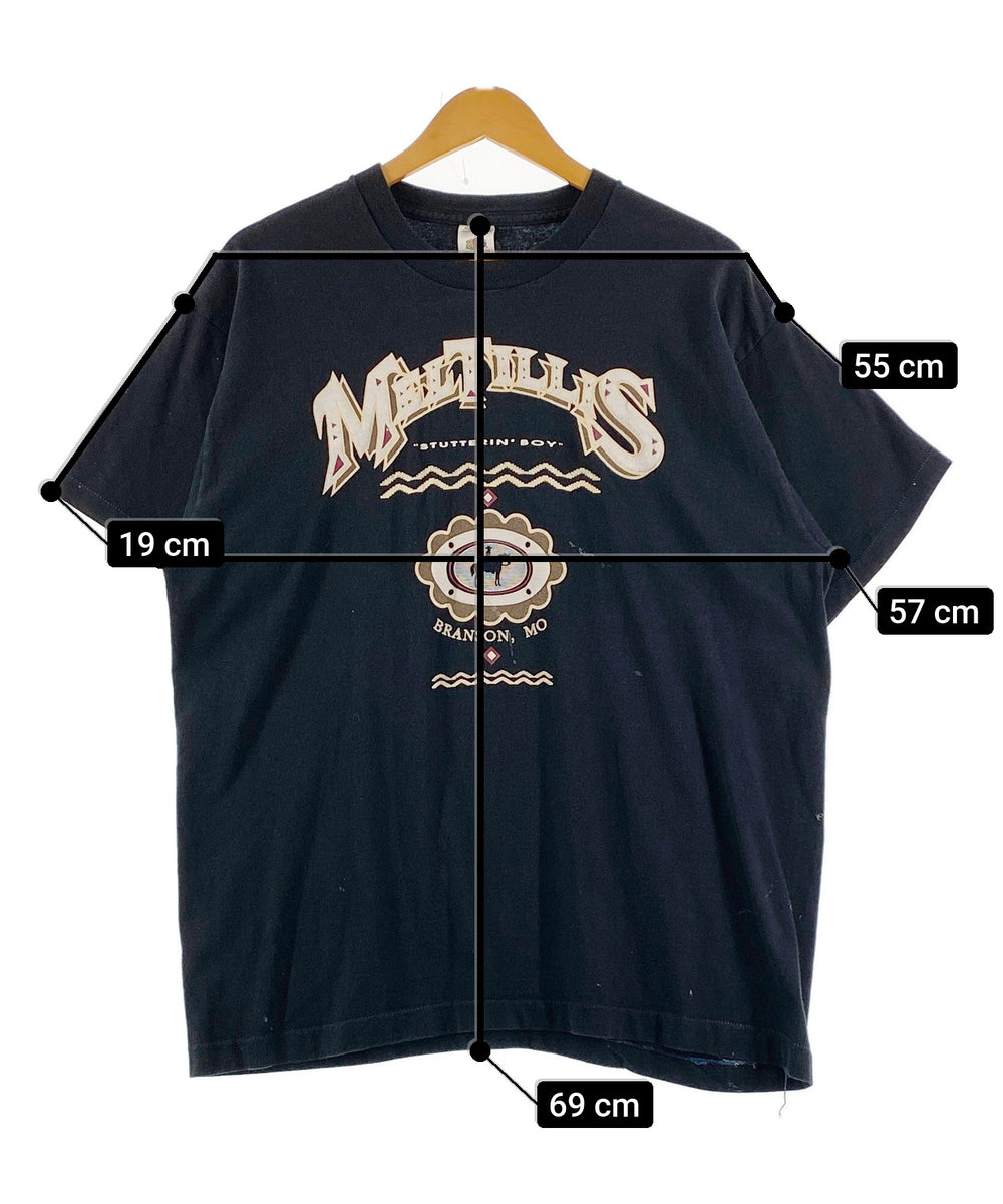 FRUIT OF THE LOOM 90STシャツ