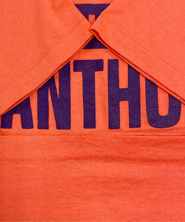 FRUIT OF THE LOOM 90STシャツ