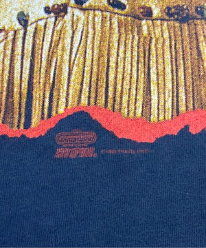 Travis Tritt 90STシャツ