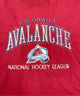 COLORADO AVALANCHE 90STシャツ