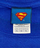 SUPERMAN キャラクターTシャツ