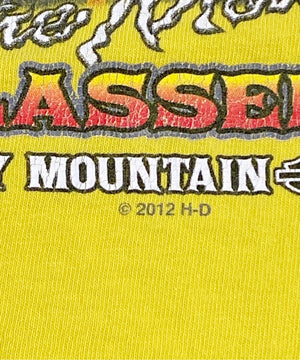 HARLEY-DAVIDSON Tシャツ