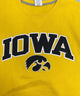 IOWA チームロゴスウェット