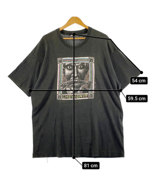 RAY TROLL アートTシャツ