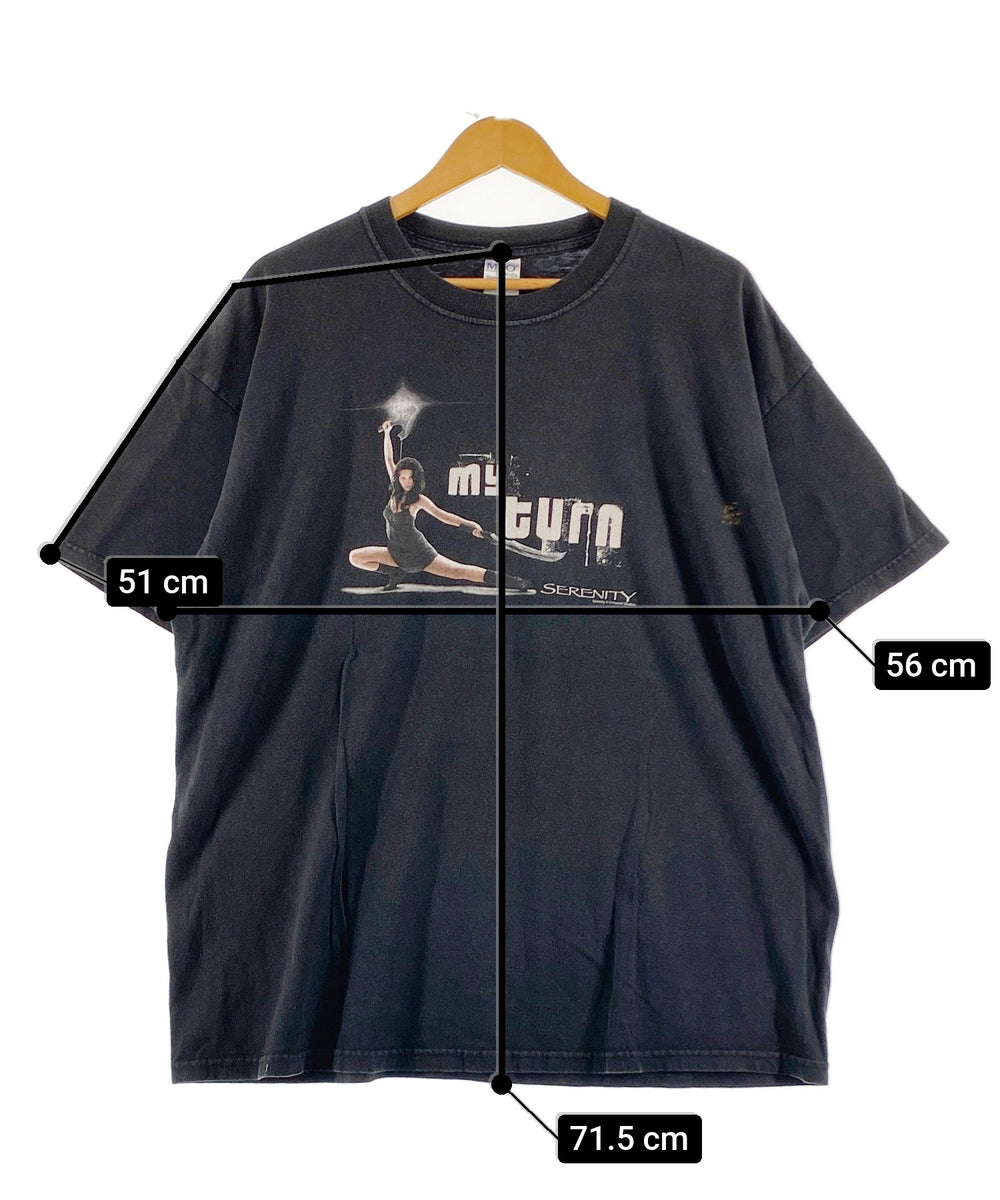 SERENITY アートTシャツ