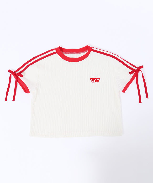 ホワイトアイボリー