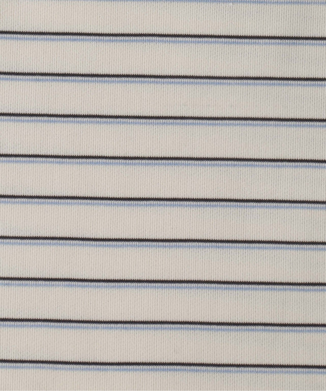 ホワイトアイボリー