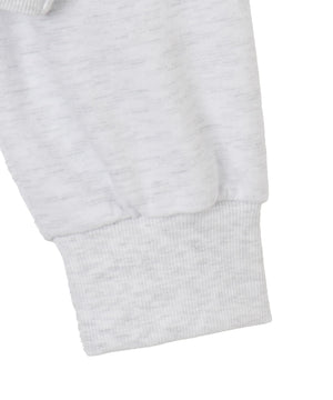 カレッジロゴクロップドスウェット