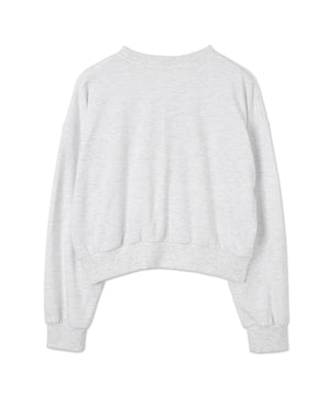 カレッジロゴクロップドスウェット