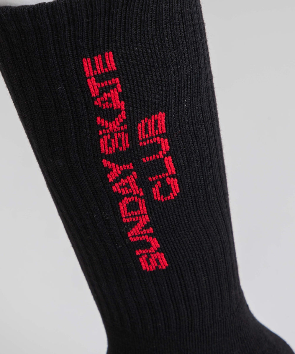 ロゴデザインソックス（R）(25-27cm)